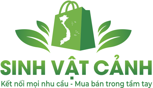 Sinh vật cảnh